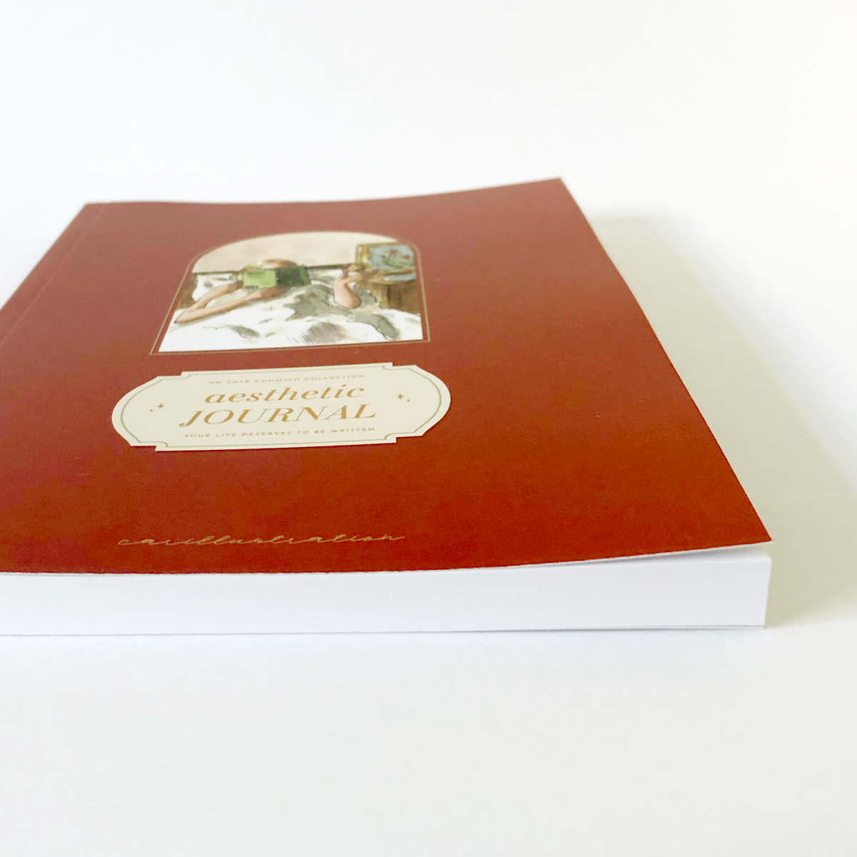 Aesthetic Journal