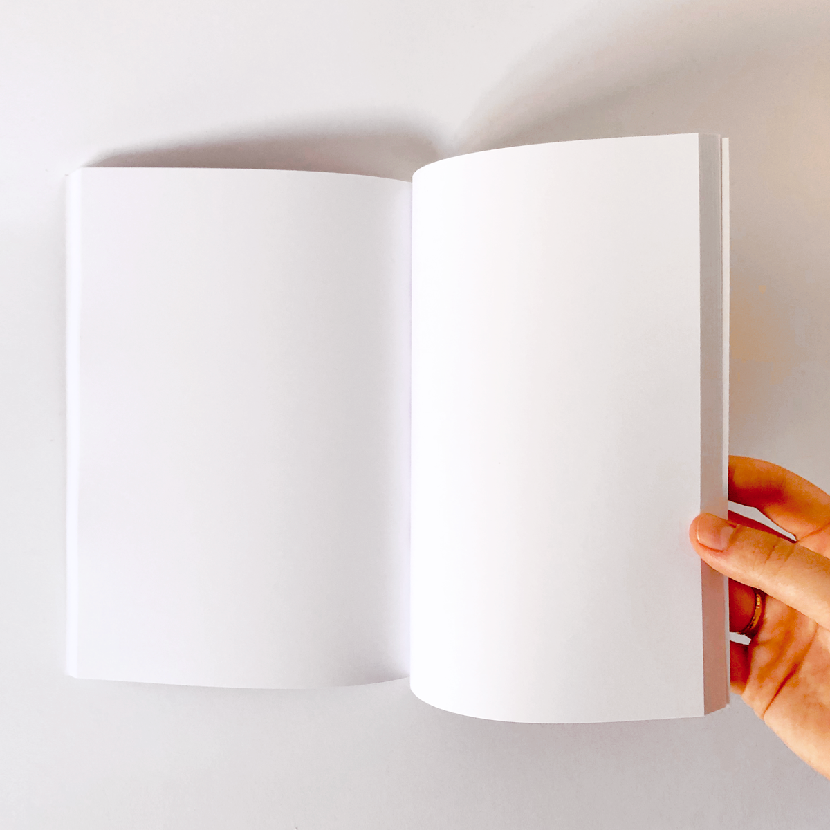Aesthetic Journal