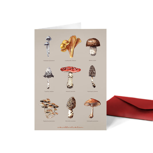 Tarjeta Mushroom Studio (díptico)