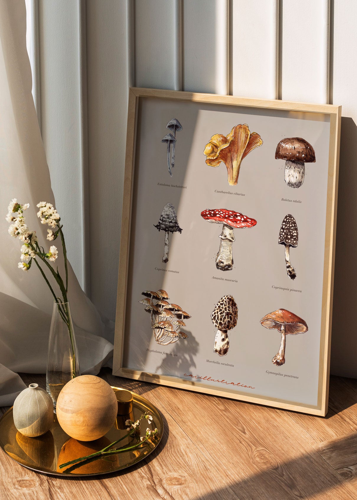 Print "Mushroom Studio"